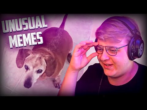 Видео: Пятёрка смотрит UNUSUAL MEMES COMPILATION V138 | Нарезка стрима @5opka