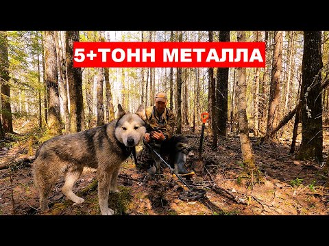 Видео: Рельсы вдоль и поперёк! 5+ ТОНН МЕТАЛЛОЛОМА Нашёл очень богатый металлом ус УЖД