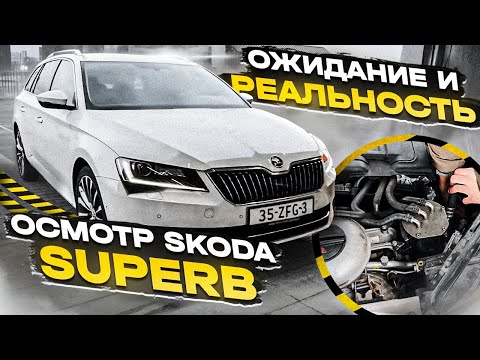 Видео: SKODA SUPERB III из Голландии !!!