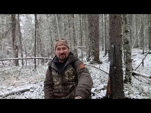 Видео: Однодневный поход. Знаковая берёза.