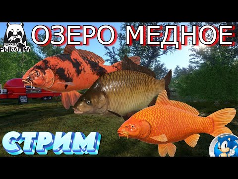 Видео: 🌟ОЗЕРО МЕДНОЕ🌟Русская Рыбалка 4(РР4)🌟