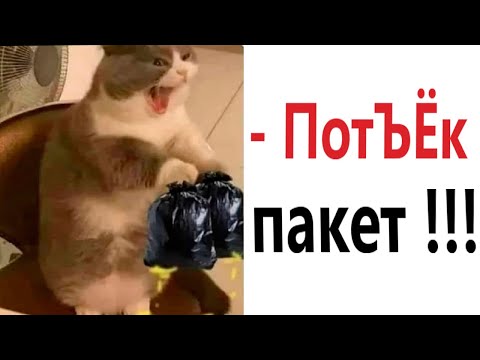 Видео: ПРИКОЛЫ! КОГДА ПОТЁК ПАКЕТ - МЕМЫ!!! Смешные видео – Доми шоу!