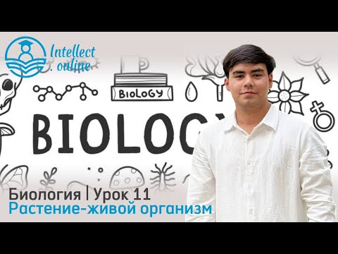 Видео: Биология | Растение-живой организм | Урок 11