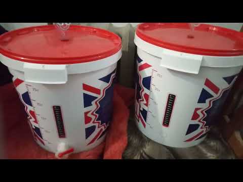 Видео: Пшеничная брага на кодзи | Брага с дробленой пшеницы