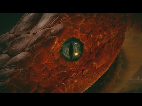 Видео: Дорога из Прахов в Elden Ring, Стрим Shorts