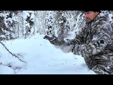 Видео: ПОЙМАЛ РУКАМИ ЧТОБЫ ПАТРОН НЕ ТРАТИТЬ / ОХОТА НА БОРОВУЮ ДИЧЬ С МЕЛКАШКОЙ / ТАЙГУ ЗАВАЛИЛО СНЕГОМ.