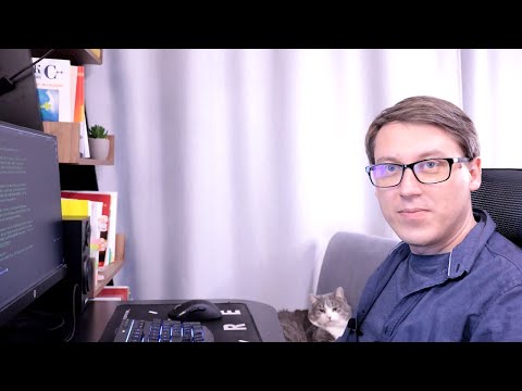 Видео: Кодим на C++ с котом нон-стоп (переписываем Rust-код!)
