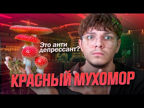 Видео: Красный Мухомор: Как Тебя Посадили на Антидепрессант?