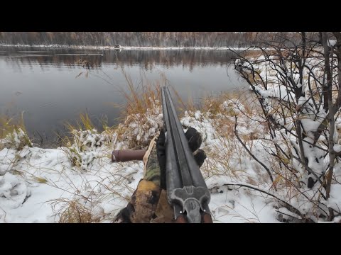 Видео: ХААРГА КУС| КҮҺҮҤҤҮ КУС| ГОРНАЙ УЛУУҺА| САХА СИРЭ 2025