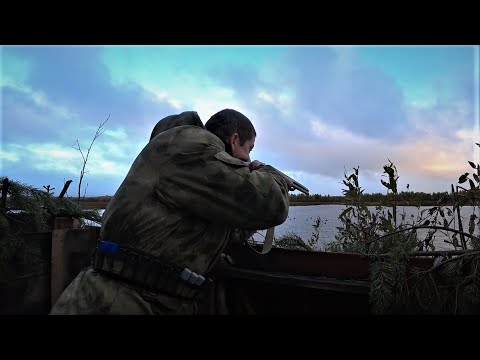 Видео: ОХОТА НА УТОК С ЧУЧЕЛАМИ. ДОБЫЛ В ПЕРВЫЙ РАЗ ТАКУЮ УТКУ.