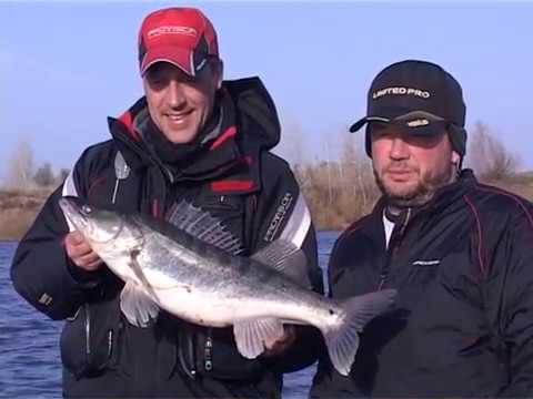 Видео: Мемориал Оскара Соболева по ловле трофейного судака-2013год