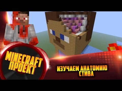 Видео: изучаем анатомию Стива