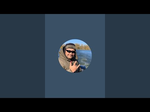 Видео: VergunTV в прямом эфире!