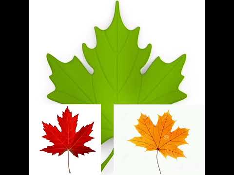 Видео: Комунікативний розвиток особистості"Осінні листочки". Малювання:"Листопад"