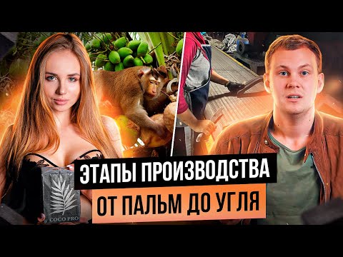Видео: Как производят уголь для кальяна? Почему уголь дорожает?