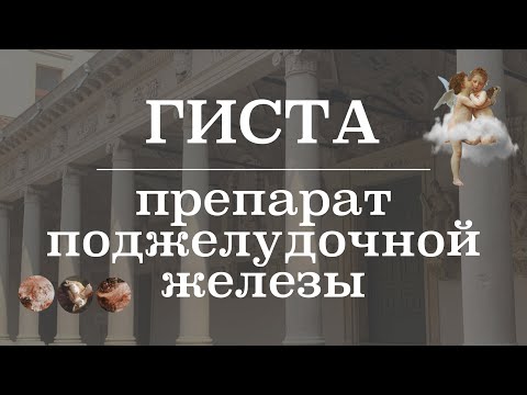 Видео: Строение поджелудочной железы и разбор препарата (ациноциты, островки лангерганса) | Гистология