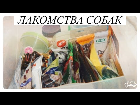 Видео: Вся коллекция лакомств и консерв моих собак / обзор 2019