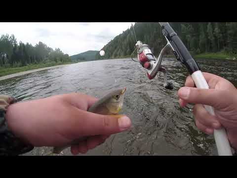 Видео: ХАРИУС на УДОЧКУ. Верховье реки Кия. Рыбалка в ТАЙГЕ. 4 км пешком по горным ПЕРЕКАТАМ. 2 часть.