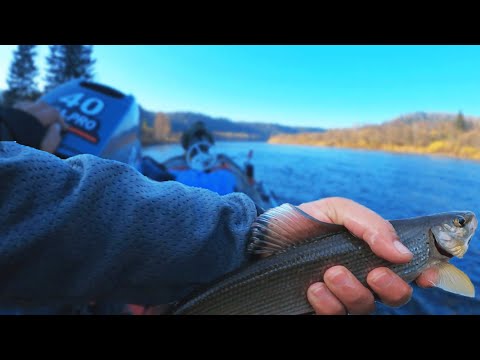 Видео: Закрытие сезона! Что-то пошло не так, но рыбы наловили отлично! +18| Рыбалка| Отдых и быт в Тайге