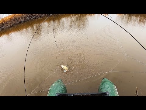 Видео: Вот это я понимаю закрытие сезона-КАРАСИ,ЩУКА,СУДАК! Паук как всегда-на высоте.Рыбалка на паук!