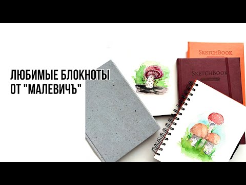 Видео: Мои любимые блокноты «Малевичъ» и НОВИНКИ