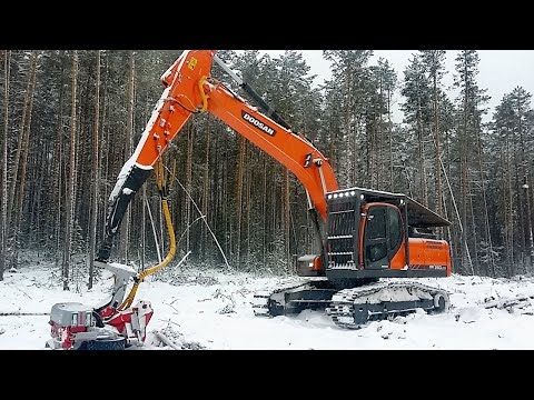 Видео: Харвестер(Harvester) Doosan DX260LCA LogMax 7000C