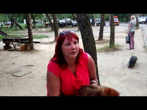 Видео: Ньюфаундленд угрожает человеку