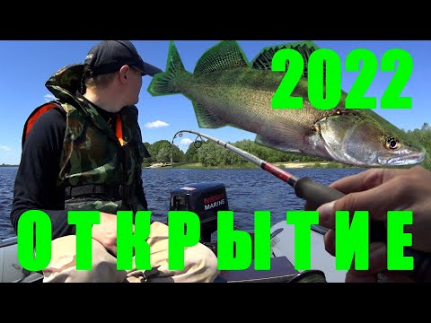 Видео: Открытие лодочного сезона 2022 Первый раз на моторной лодке Половил на спиннинг с лодки #волжанин