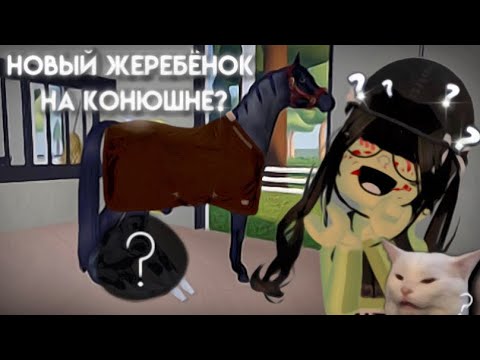 Видео: ★ ДЕНЬ С ЖЕРЕБЕНОМ ★ Тренировка малыша ★ wild horse islands roblox ★ Vlog RRP ★