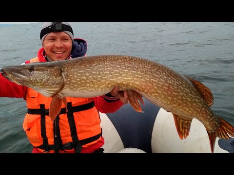 Видео: ВОТ ЭТО ЩУКИ!!! РЫБАЛКА МЕЧТЫ НА БАЙКАЛЕ - ЧАСТЬ 2