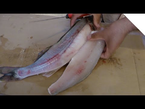 Видео: Как «застегнуть» судака — филе без костей