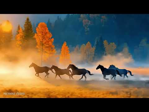 Видео: Сборник ЛУЧШИХ Мелодий от которых мурашки по телу! Мелодия Души! Красивая музыка для души #музыка