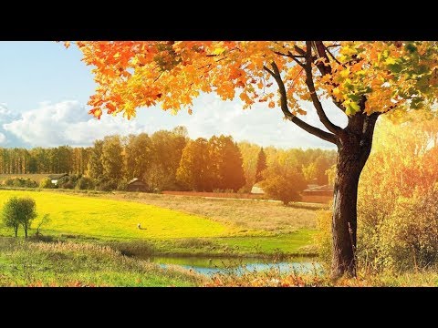 Видео: "Там где клён шумит" на английском (Maple)