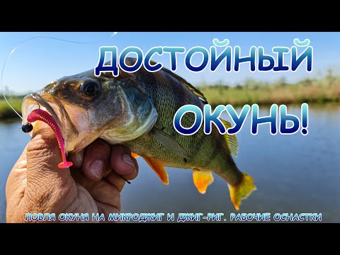 Видео: Микроджиг, джиг-риг ловят окуня!!! Трудовая рыбалка, но окуня поймал!