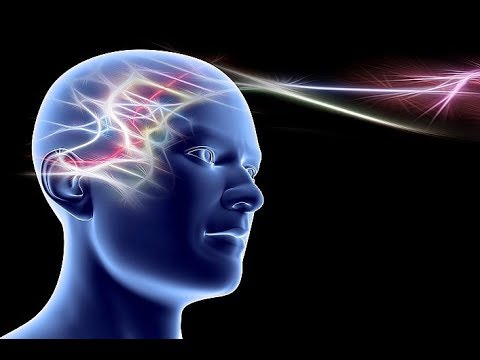 Видео: Лекция «Контакт с мозгом: реалии и фантазии» | Александр Каплан