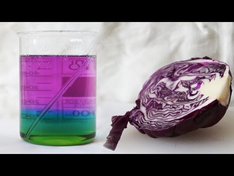Видео: Химия дома - Делаем универсальный pH индикатор из краснокочанной капусты!