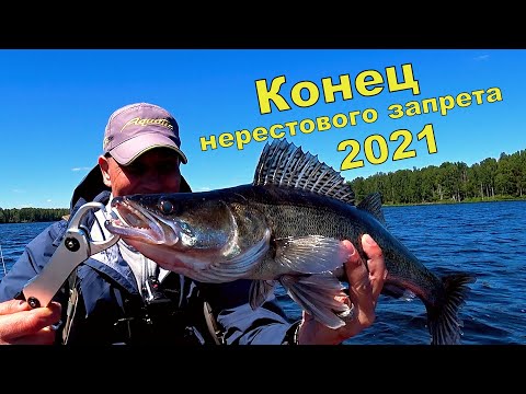 Видео: Ronin Rush ECHO и Minn Kota Powerdrive v2 i-Pilot в деле