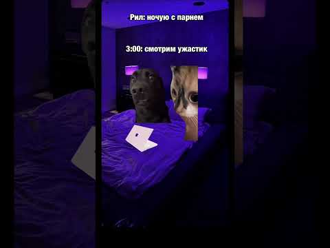 Видео: Все футажи есть в моём тг канале в шапке профиля ❤️‍🔥#fypシ #рек #рекомендации #fyp #рек