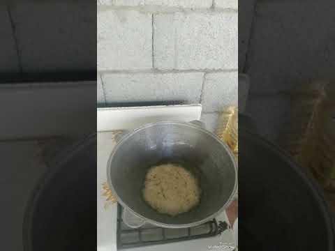 Видео: Кокатли,пиёзли ва мазали ойма