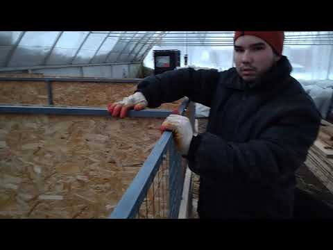 Видео: Содержание молочных телят