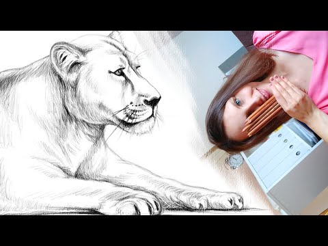 Видео: Как нарисовать льва карандашом. Часть2