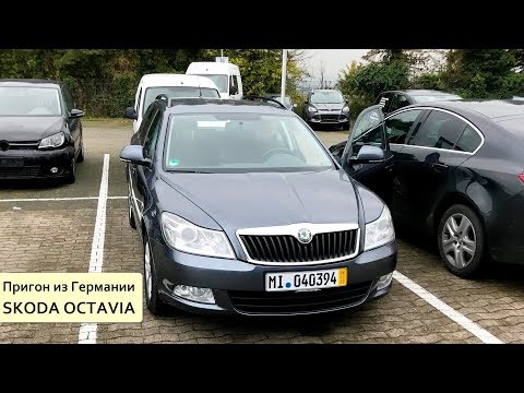 Видео: Удачная покупка в Германии Skoda Octavia и неудачные поиски VW Golf7