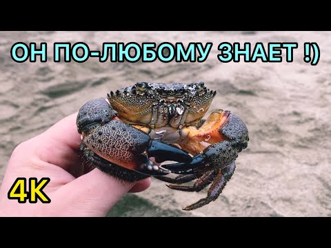 Видео: 🦀🕵️💰КОП НА ПЛЯЖЕ В СУДАКЕ !!! ОБНАЛИЧИВАЕМ СПАСЁННЫЙ ХАБАР В ЛОМБАРДЕ !!!