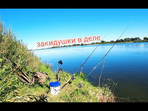 Видео: ЗАКИДУШКИ ЛЕЩ! Рыбкин39 и Мадам Рыбкина 🐟 приехали в гости!