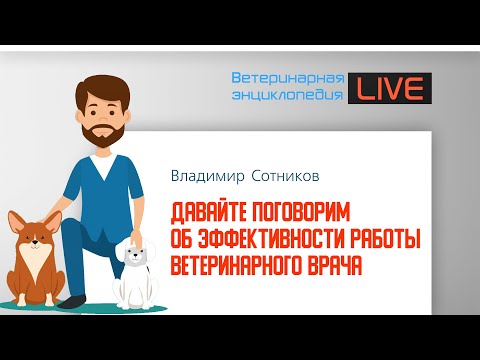Видео: Эффективность работы ветеринарного врача