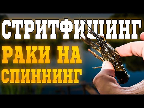Видео: СТРИТФИШИНГ | НАЛОВИЛ РАКОВ НА СПИННИНГ | ДОНОЧНИКИ И ФИДЕРИСТЫ АТАКУЮТ