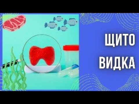Видео: Щитовидка. Функции, дисфункции, причины и решения.