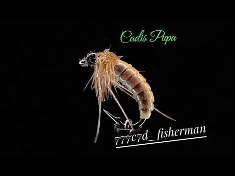 Видео: Мушка Caddis Pupa из Nymph Skin.