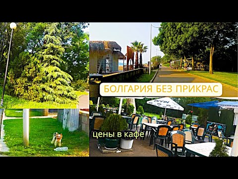 Видео: Как легко найти работу в Болгарии. Германия или Болгария?