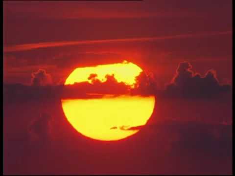 Видео: Фильм "Путешествие в мир диких лесов Коми" (реж. Сарана В.А., 2004 г.)